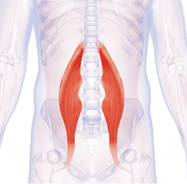 Unlock Your Hip Flexors improve